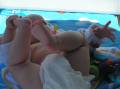 Tirrenia 07 168 
